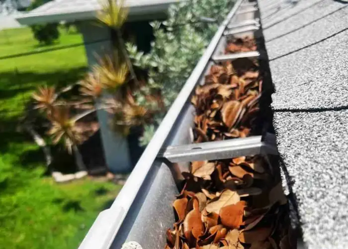 Gutter Cleaning Linden home page