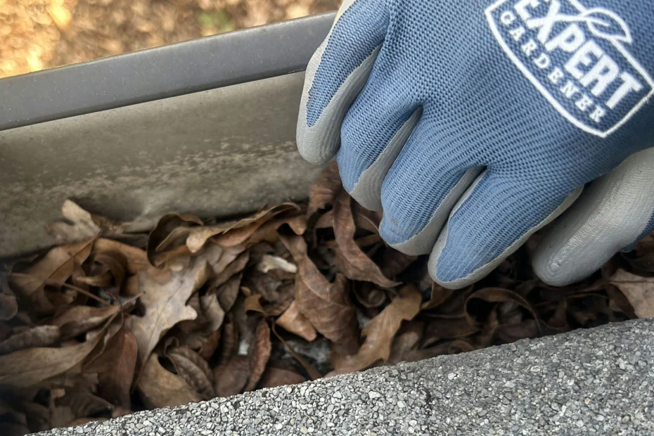 Linden Gutter Cleaning